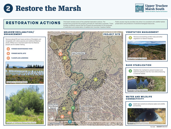 Restore the Marsh