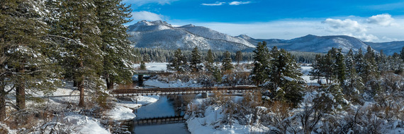 Upper Truckee Marsh South area in winter