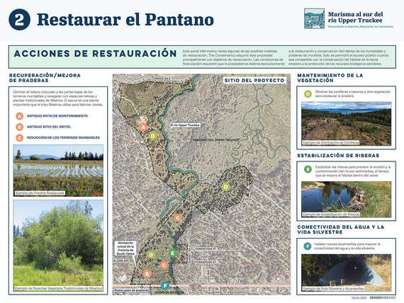 Restaurar el Pantano 2