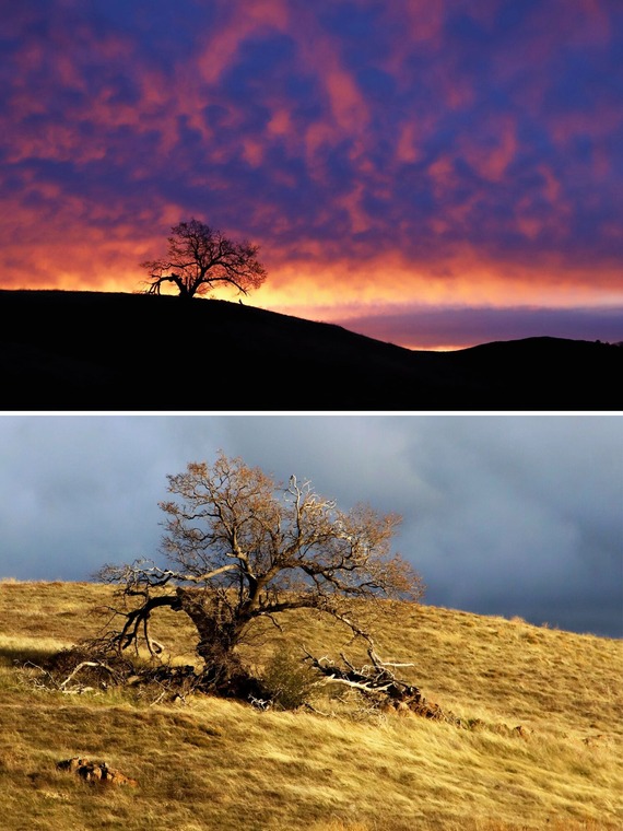 Cuyamaca Rancho collage