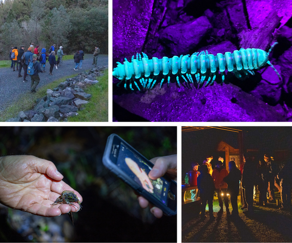 Auburn SRA First Day Hikes Collage