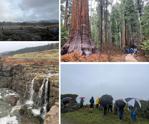First Day Hikes Collage 1