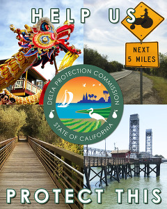 Montage of Delta images