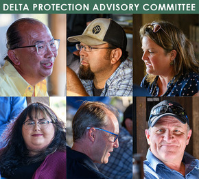 Montage of committee members at a  meeting