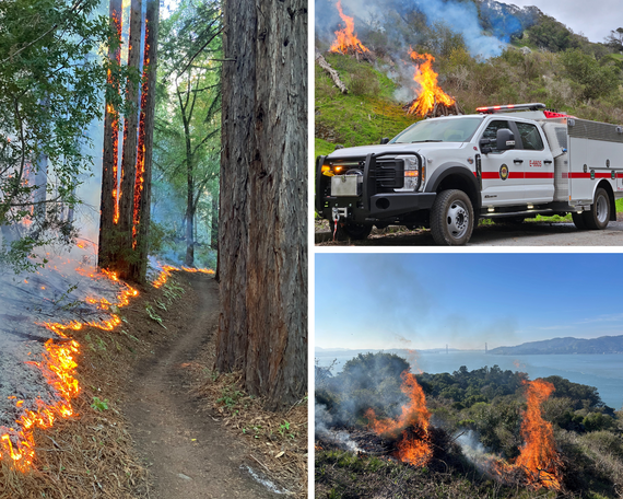 Angel Island prescribed burn collage