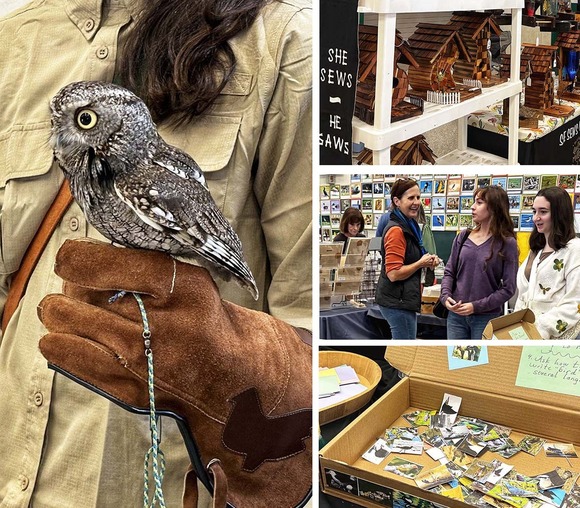 Scenes from Galt Winter Bird Festival: an owl on gloved hand, birdhouses, women shopping, a make-a-bird-bookmark station