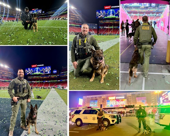 K-9 Team at Super Bowl 60 collage