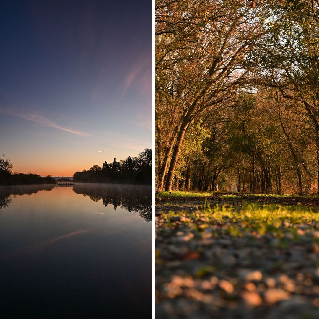 Delta Meadows Park Property (sunrise collage)