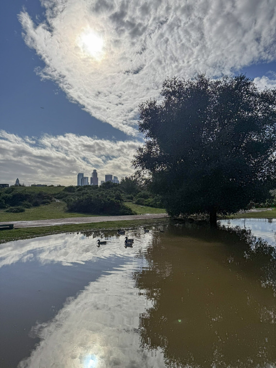 Sunshine after rain at Los Angeles SHP