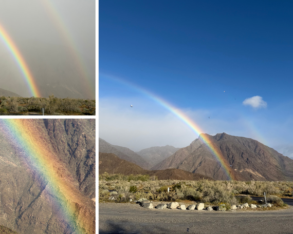 Anza-Borrego Desert SP_rainbow collage