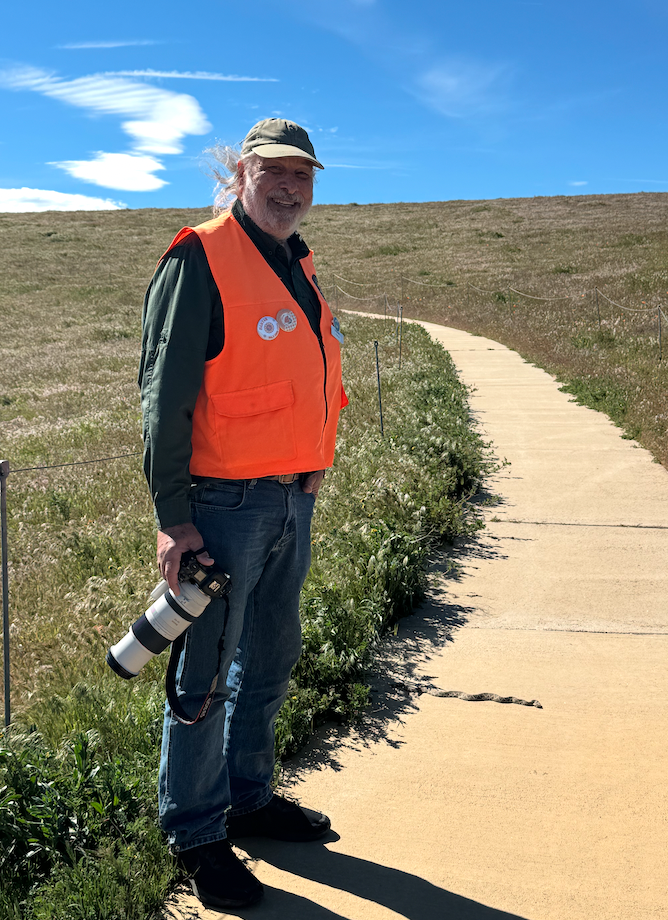 Volunteer at Antelope Valley CA Poppy Reserve