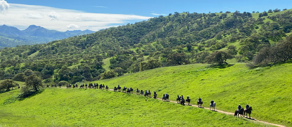 Pacheco State Park horses and trail riding