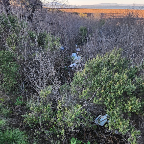 China Camp SP (trash)