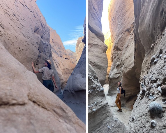 Anza-Borrego Desert SP (Collage)
