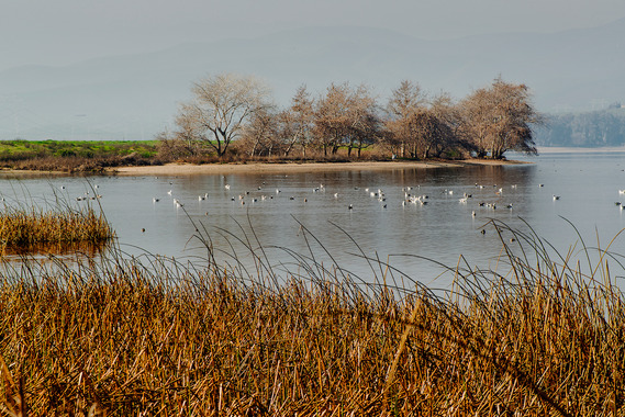 San Luis Reservoir State Recreation Area Winter