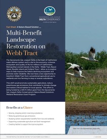 Image of a fact sheet