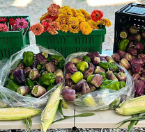 A table full of peppers, corn and flowers 