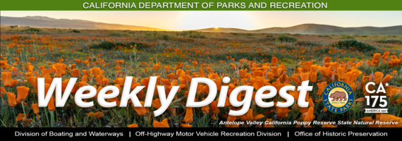 Spring CA 175 Masthead Weekly Digest