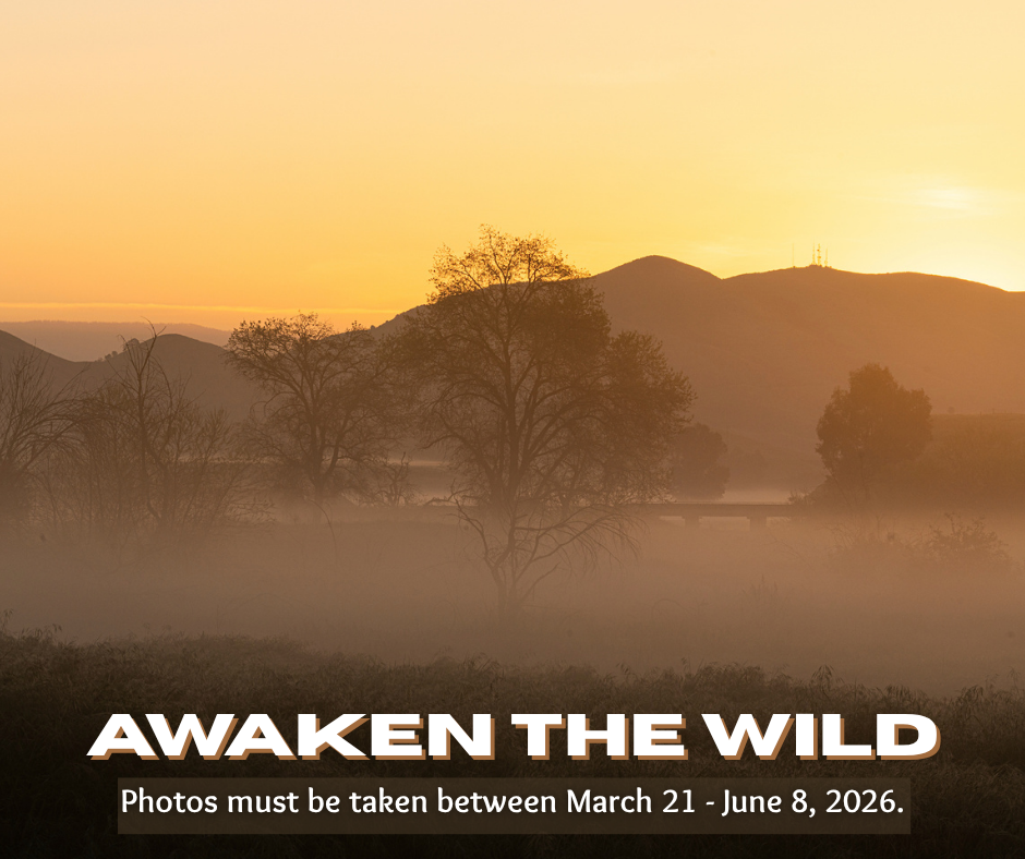 Awaken the Wild Photo Contest Graphic