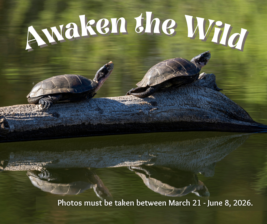 Awaken the Wild Photo Contest Graphic