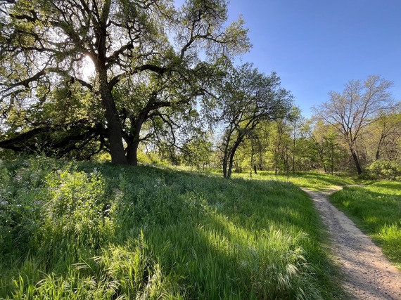 American River Parkway - Howe Avenue River Access