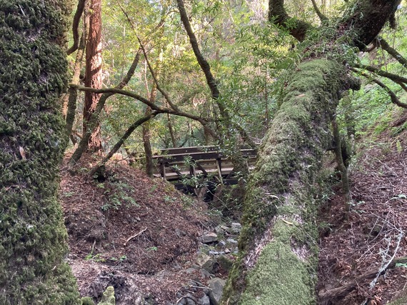 Mount Tamalpais SP bridge