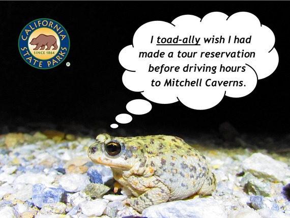 Providence Mountains SRA_toad meme
