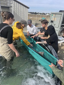 UC Davis Fish Students