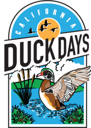Duck Days Logo