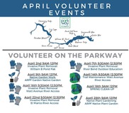Volunteer on the Parkway Flyer