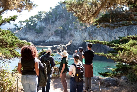 Parks CA at Point Lobos