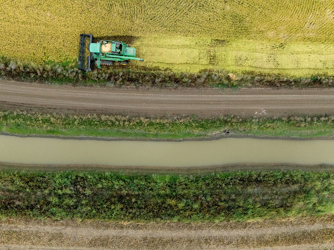 Aerial view of rice harvesting