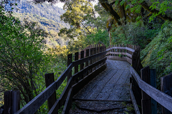 Independence Trail at South Yuba River SP 