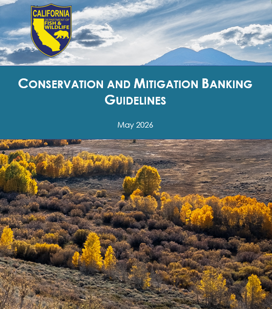 Banking Guidelines Cover