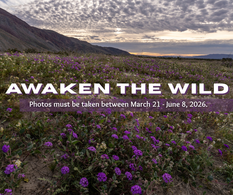 Awaken the Wild Photo Contest Purple Flower Graphic