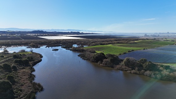 Watsonville Slough.