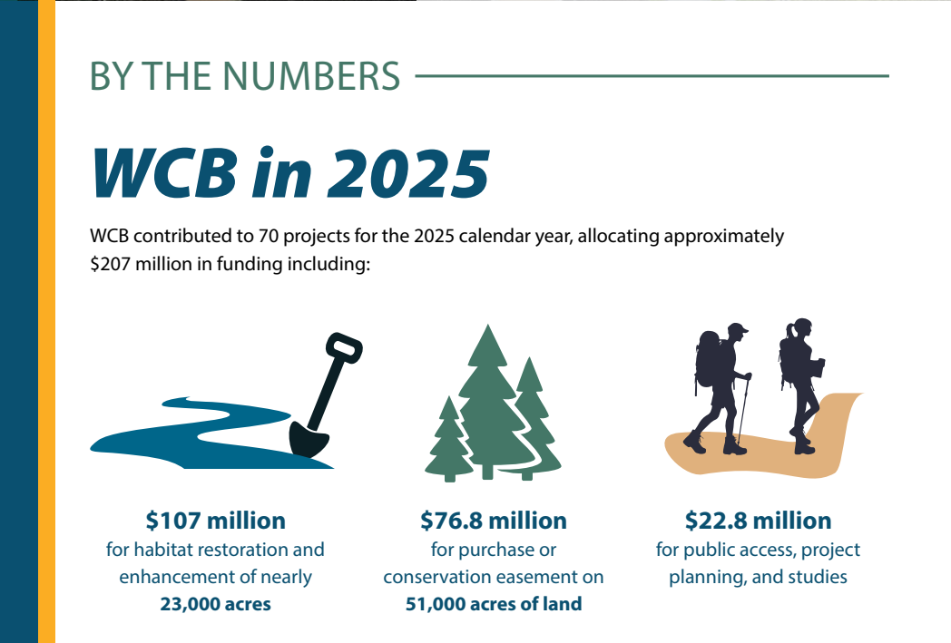 Graphic WCB by Numbers