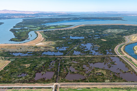 Aerial view of the Sacramento-San Joaquin Delta
