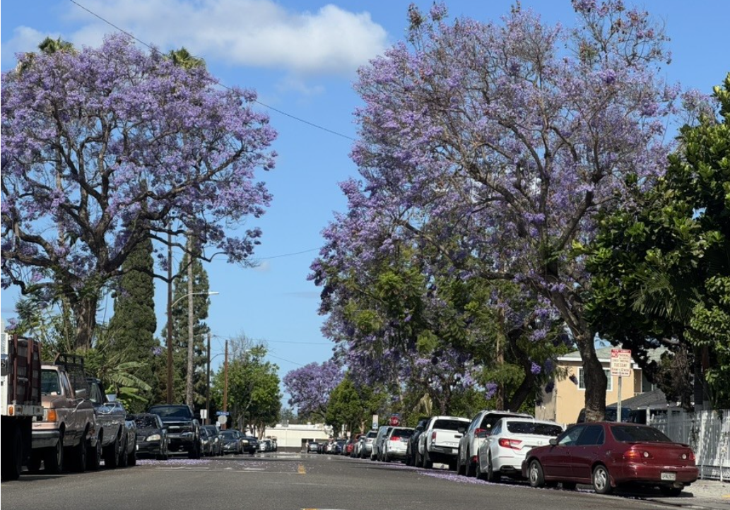 Neighborhood