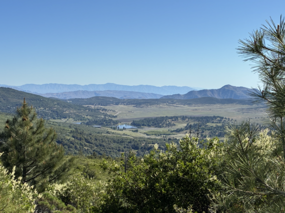 Lake Cuyamaca