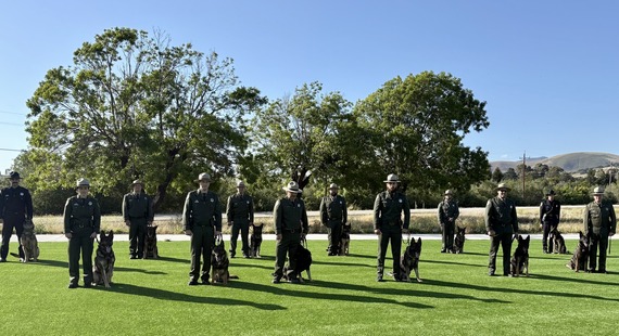 k9 LEES