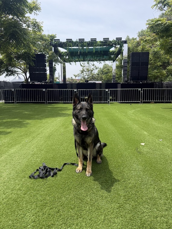 K9 Ghost