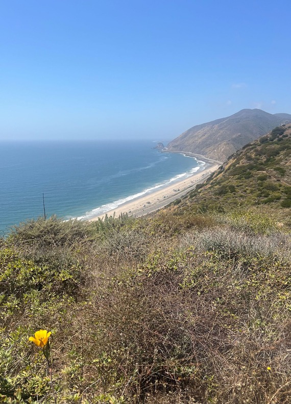 Point Mugu State Park Trail Overlooking Beach
