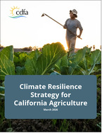 CDFA Strategy Report
