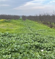 View of project site in Solano County