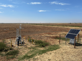 Eddy covariance equipment on Webb Tract