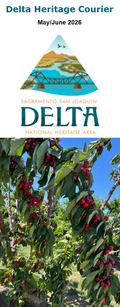 A newsletter header and ripe cherries on a tree