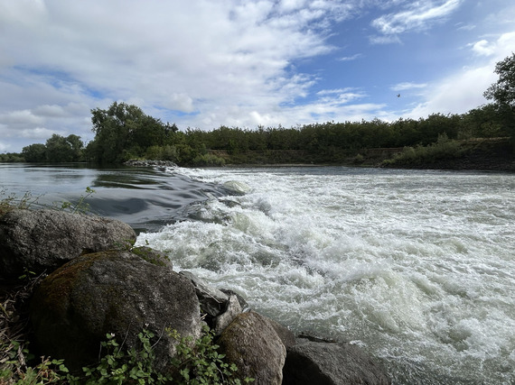 Feather River flows in Sutter County