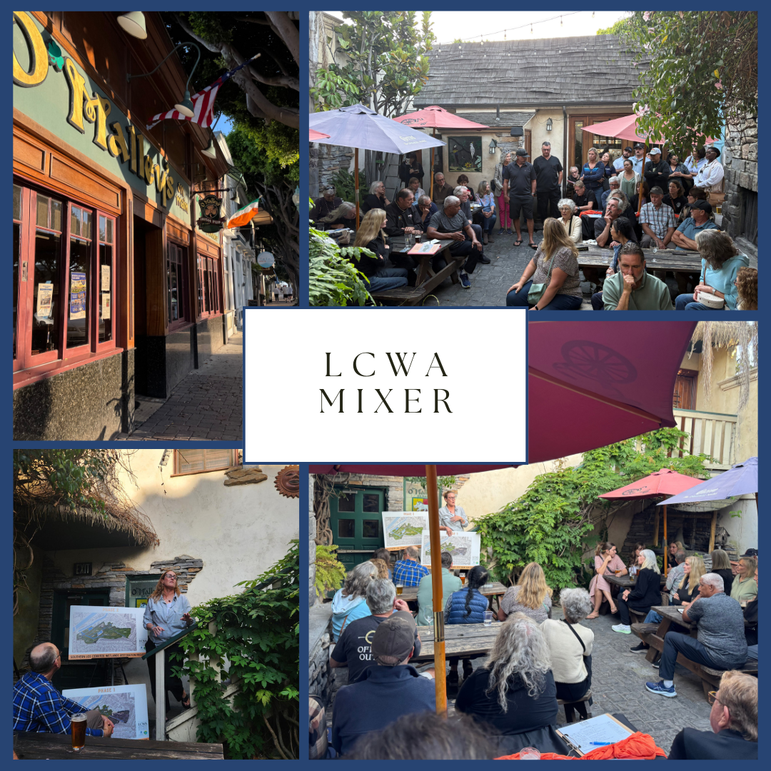 LCWA Mixer