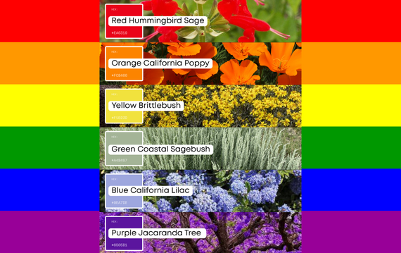 Pride Colors